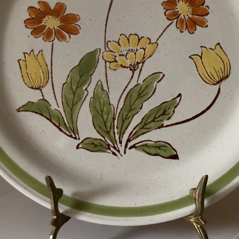 Vintage Country Casual “Sunnyvale” Dinner Plates, Set of 2 - Picture 6 of 10